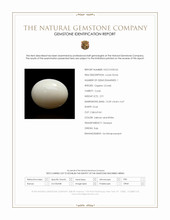 2.91 Ct. Salmon and White Cabochon Coral from Italy Scan Report