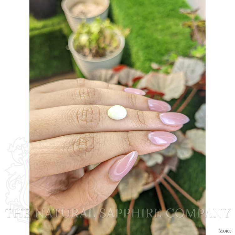 2.91 Ct. Salmon and White Cabochon Coral from Italy