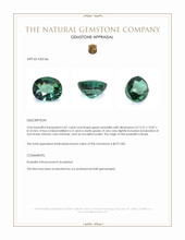 6.87 Ct. Green Prasiolite from Brazil Appraisal