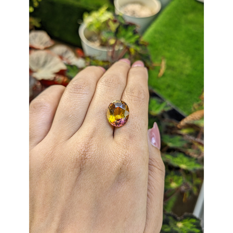 8.17 Ct. Bi Color Ametrine from Brazil