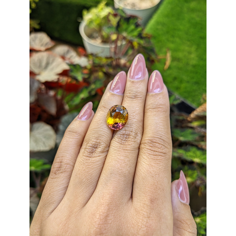 8.17 Ct. Bi Color Ametrine from Brazil