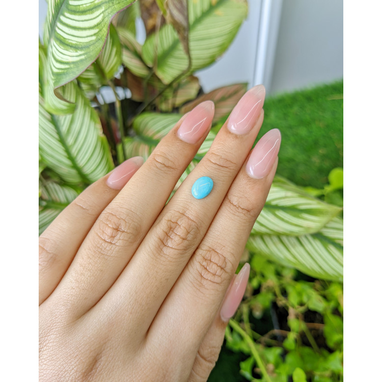 0.93 Ct. Cabochon Turquoise from Persia