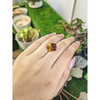 7.85 Ct. Bi Color Ametrine from Brazil Life Style