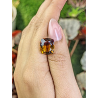 7.85 Ct. Bi Color Ametrine from Brazil Life Style