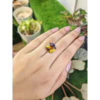 8.60 Ct. Bi Color Ametrine from Brazil Life Style