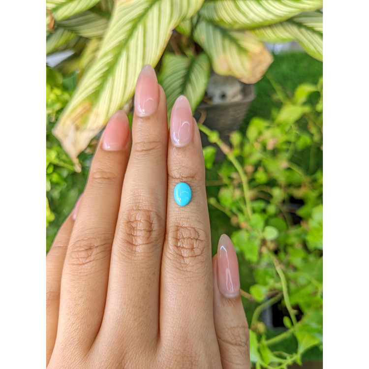 0.77 Ct. Cabochon Turquoise from Persia