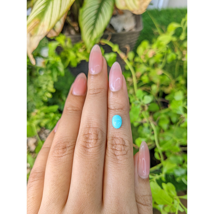 0.86 Ct. Cabochon Turquoise from Persia