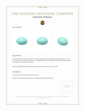 Jewelry Appraisal