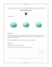 9.02 Ct. Cabochon Turquoise from Persia Appraisal