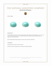 9.02 Ct. Cabochon Turquoise from Persia Appraisal