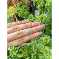2.63 Ct. Cabochon Turquoise from Persia Life Style