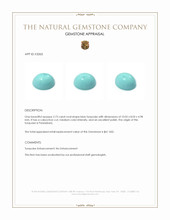 2.73 Ct. Cabochon Turquoise from Persia(Iran) Appraisal