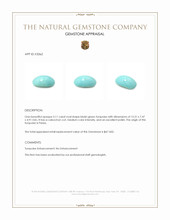 3.11 Ct. Cabochon Turquoise from Persia Appraisal