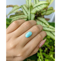 3.11 Ct. Cabochon Turquoise from Persia Life Style