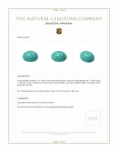 Jewelry Appraisal