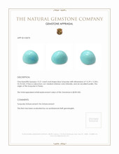 15.21 Ct. Cabochon Turquoise from Persia Appraisal