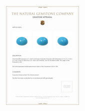 6.61 Ct. Cabochon Turquoise from United States Appraisal