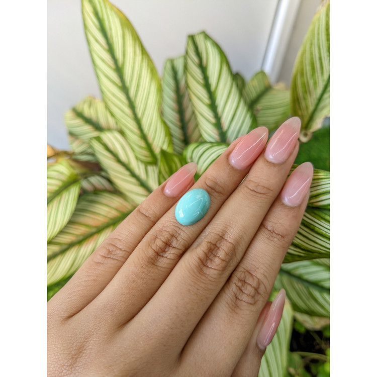 7.06 Ct. Cabochon Turquoise from Persia