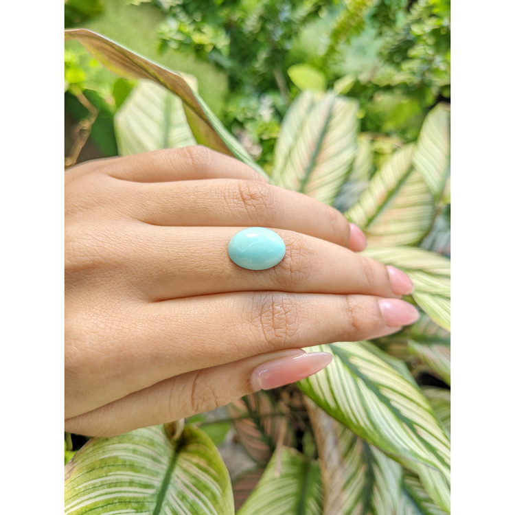 6.65 Ct. Cabochon Turquoise from Persia