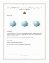 15.79 Ct. Cabochon Turquoise from Persia Appraisal