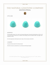 2.96 Ct. Cabochon Turquoise from Persia Appraisal
