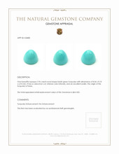2.96 Ct. Cabochon Turquoise from Persia Appraisal