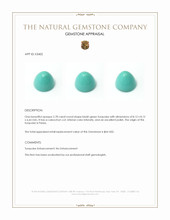 2.78 Ct. Cabochon Turquoise from Persia Appraisal