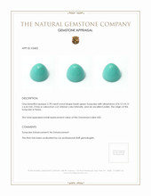 2.78 Ct. Cabochon Turquoise from Persia Appraisal