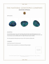 15.54 Ct. Black Opal from Australia Appraisal