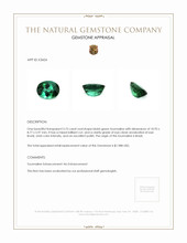 3.75 Ct. Tourmaline from Brazil Appraisal