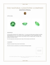 1.41 Ct. Paraiba Tourmaline from Africa Appraisal