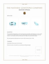 8.91 Ct. Aquamarine from Brazil Appraisal