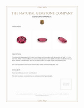 6.99 Ct. Tourmaline from Brazil Appraisal