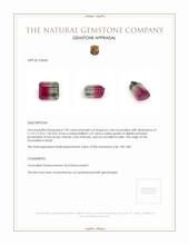 7.05 Ct. Tourmaline from Brazil Appraisal