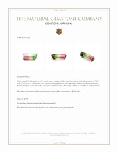 0.79 Ct. Tourmaline from United States Appraisal