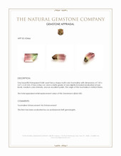 0.88 Ct. Multi Color Tourmaline from United States Appraisal