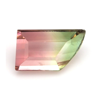 0.88 Ct. Tourmaline from United States Video