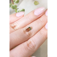 0.75 Ct. Tourmaline from United States Life Style