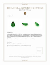 1.13 Ct. Tsavorite Garnet from Tanzania Appraisal