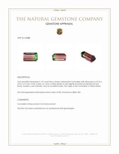 1.69 Ct. Watermelon Tourmaline from United States Appraisal