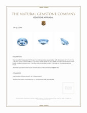 0.95 Ct. Aquamarine from Brazil Appraisal