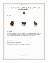 1.91 Ct. Brown Zircon from Ceylon (Sri Lanka) Appraisal