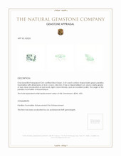 0.33 Ct. Paraiba Tourmaline from Mozambique Appraisal