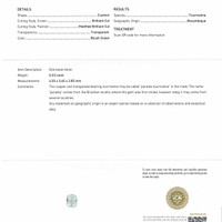 0.33 Ct. Paraiba Tourmaline from Mozambique Scan Report