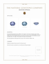 4.33 Ct. Paraiba Tourmaline from Mozambique Appraisal