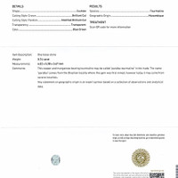 0.74 Ct. Paraiba Tourmaline from Mozambique Scan Report