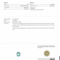 1.24 Ct. Paraiba Tourmaline from Mozambique Scan Report