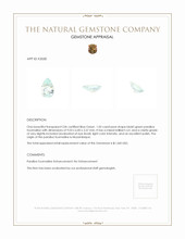 1.05 Ct. Paraiba Tourmaline from Mozambique Appraisal