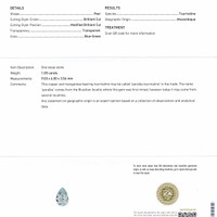 1.05 Ct. Paraiba Tourmaline from Mozambique Scan Report