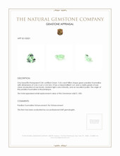 0.56 Ct. Paraiba Tourmaline from Mozambique Appraisal